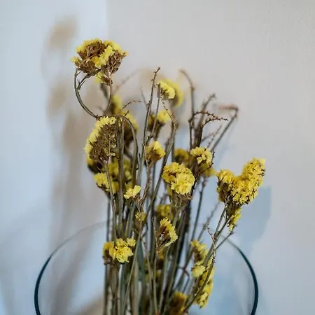 Appartamento Im Hygge Skandinavisch Wohnen Mitten In Chemnitz