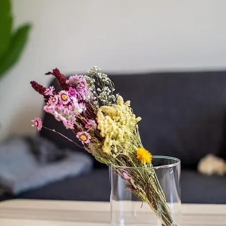 Appartamento Im Hygge Skandinavisch Wohnen Mitten In Chemnitz