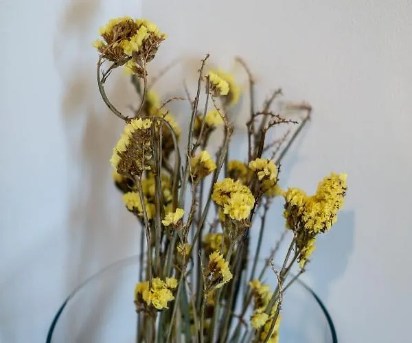 アパート Im Hygge Skandinavisch Wohnen Mitten In ケムニッツ